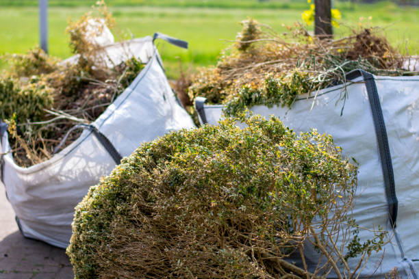 Best Full-Service Junk Removal  in Withamsville, OH